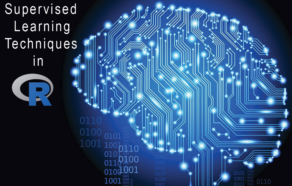 Supervised Learning Techniques in R | Leon Shpaner